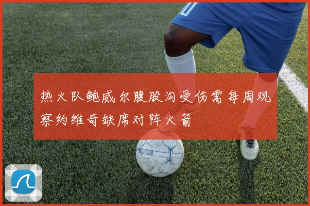 热火队鲍威尔腹股沟受伤需每周观察约维奇缺席对阵火箭