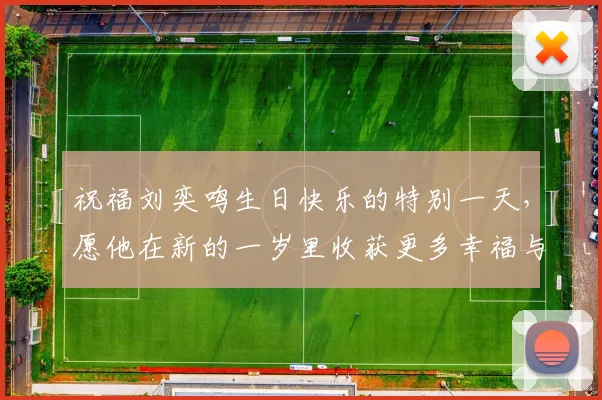 祝福刘奕鸣生日快乐的特别一天，愿他在新的一岁里收获更多幸福与成功